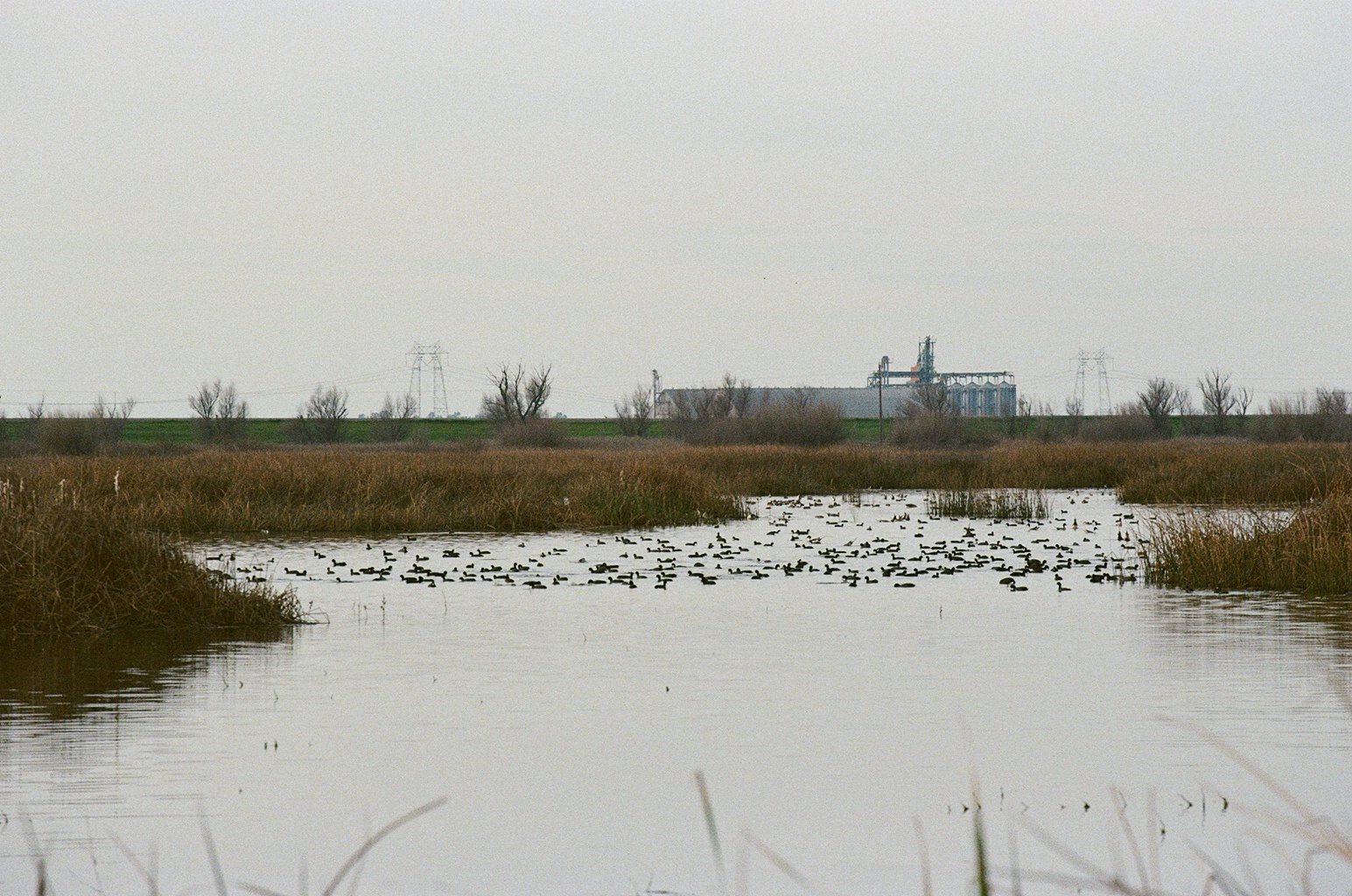 Aerial view of the Yolo Basin floodplain